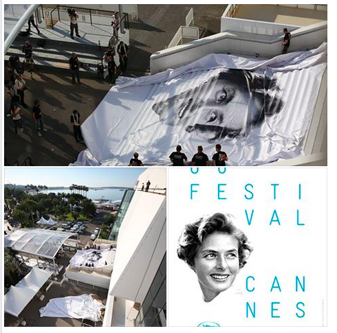 Cannes 2015