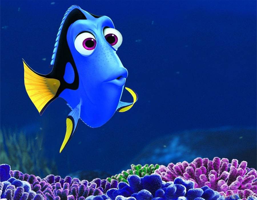 Dory, de Buscando a Nemo, estrenará cinta en 2016.