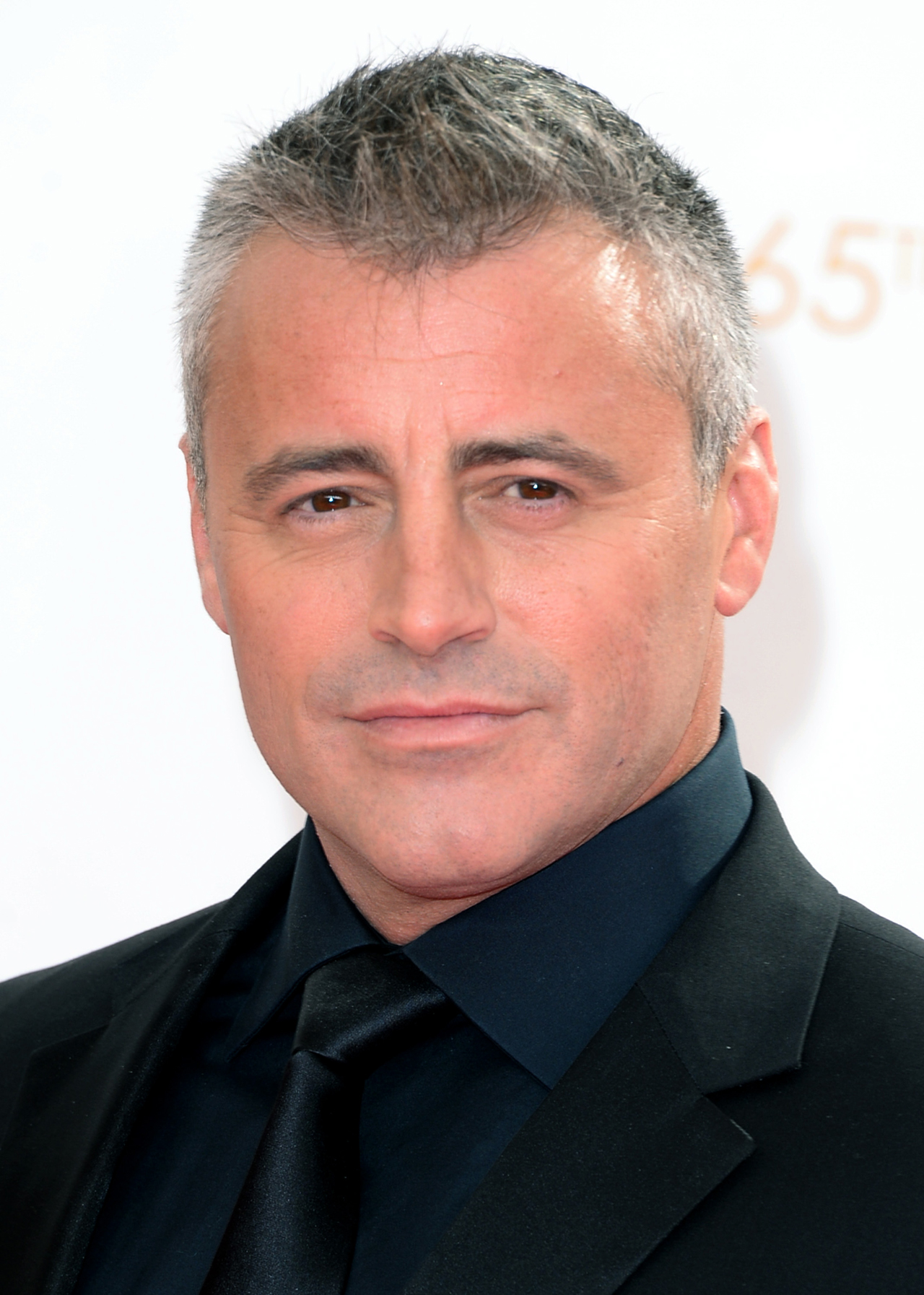 Matt LeBlanc dará vida a un padre con muchas responsabilidades